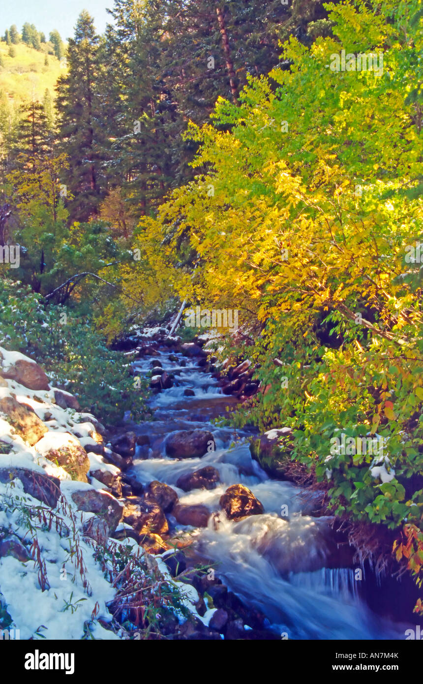 Io vivo in un posto in noi (Utah) dove le stagioni sono ben distinte. Io amo! Qui è una naturale, immagine stagionali da Utah Foto Stock