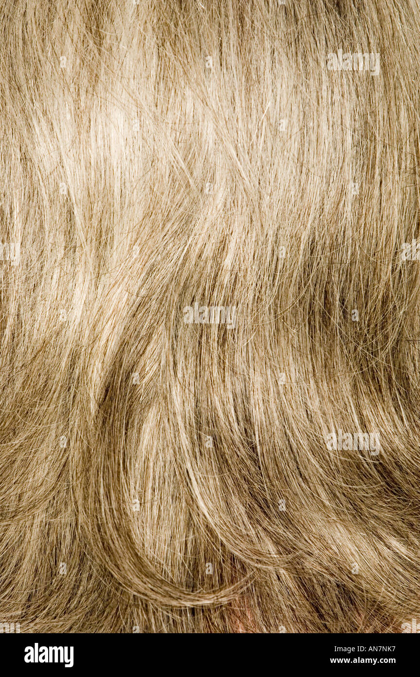 Chiusura del retro della testa femminile di capelli grigi Foto Stock