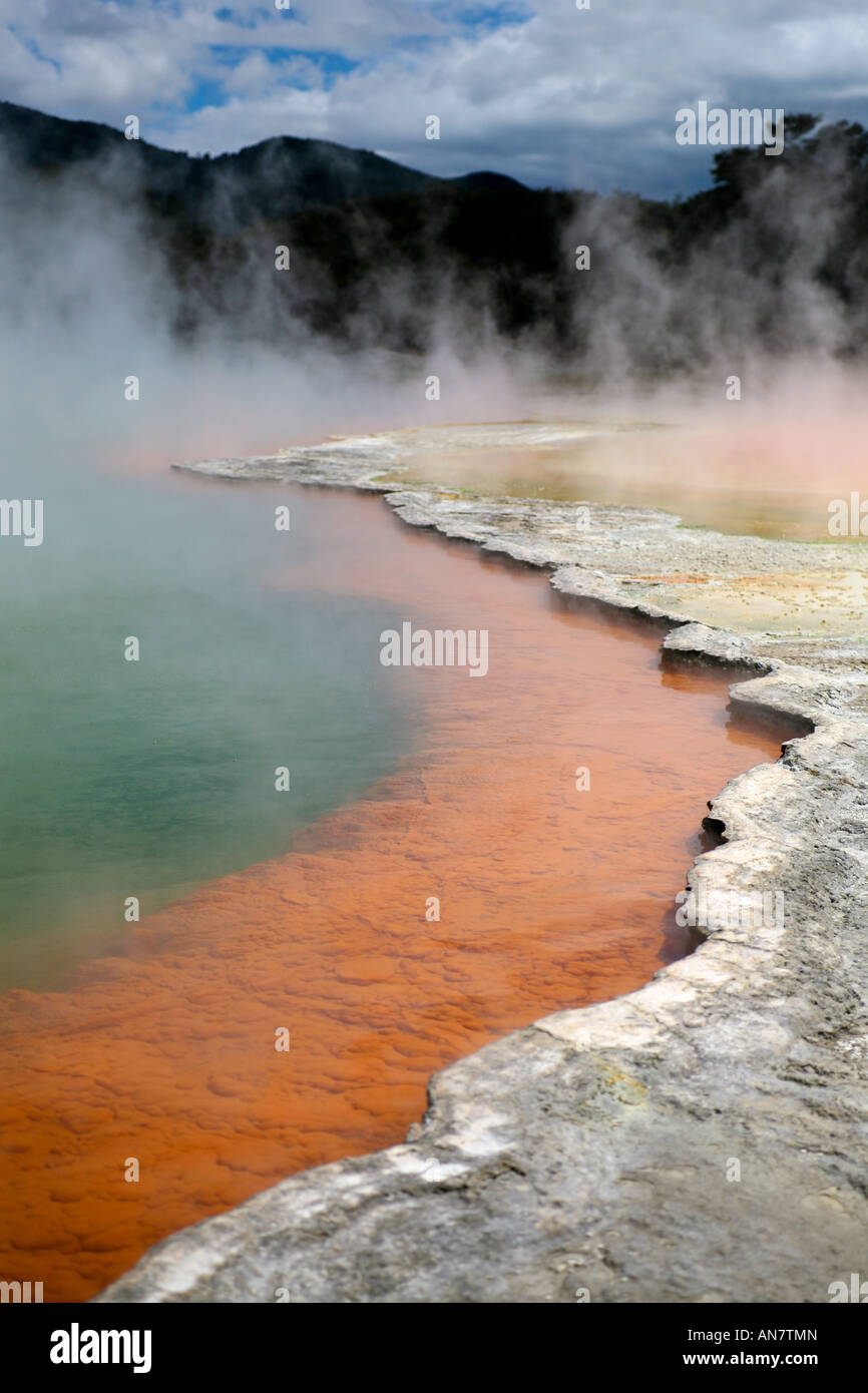 Bordo della Piscina con Champagne, Wai-O-Tapu Thermal Wonderland, Nuova Zelanda Foto Stock