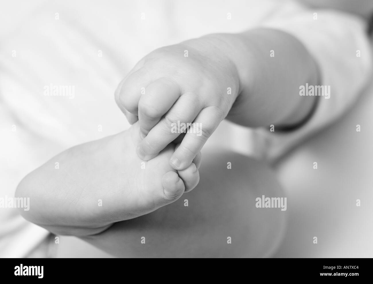 7 mesi baby s piedi e mani Foto Stock