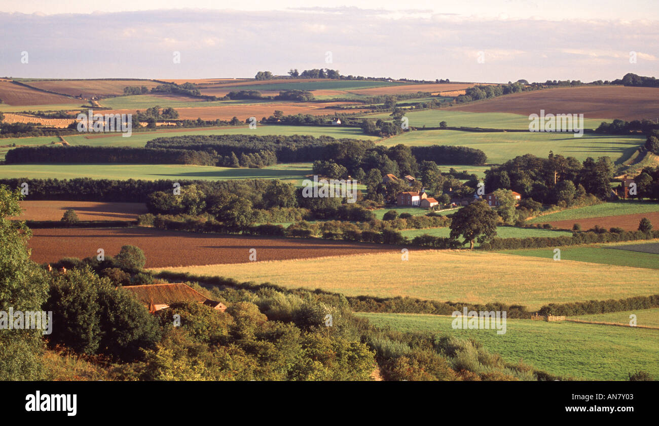 WOLDS nel Lincolnshire England Regno Unito Foto Stock