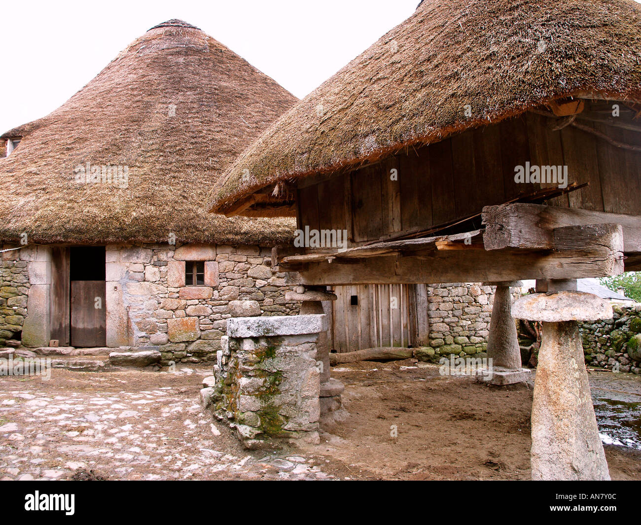 Horreo e palloza in background in villaggio Piornedo Os Ancares Lugo provincia galizia Spagna Foto Stock