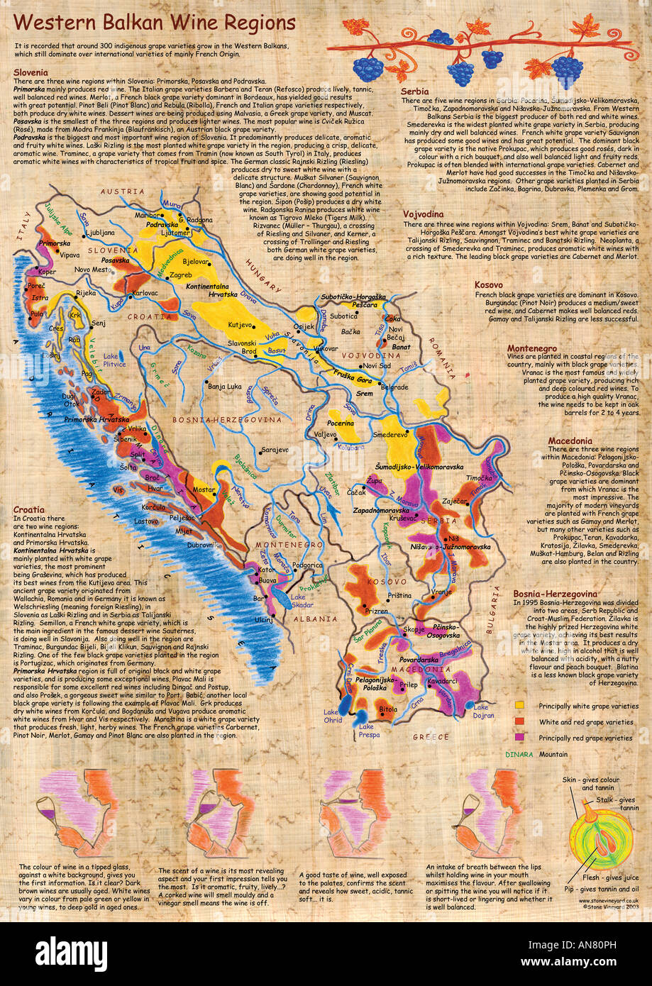 Mappa illustrata dei Balcani occidentali le regioni del vino - Croazia, Serbia, Slovenia, Montenegro, Macedonia, Bosnia, Kosovo e Vojvodina Foto Stock