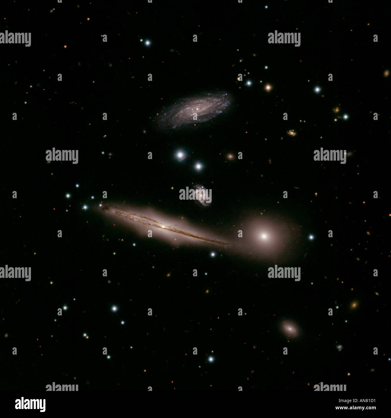 Galassie di HCG Hickson gruppo compatto 87 circa quattrocento milioni di anni luce distante Foto Stock