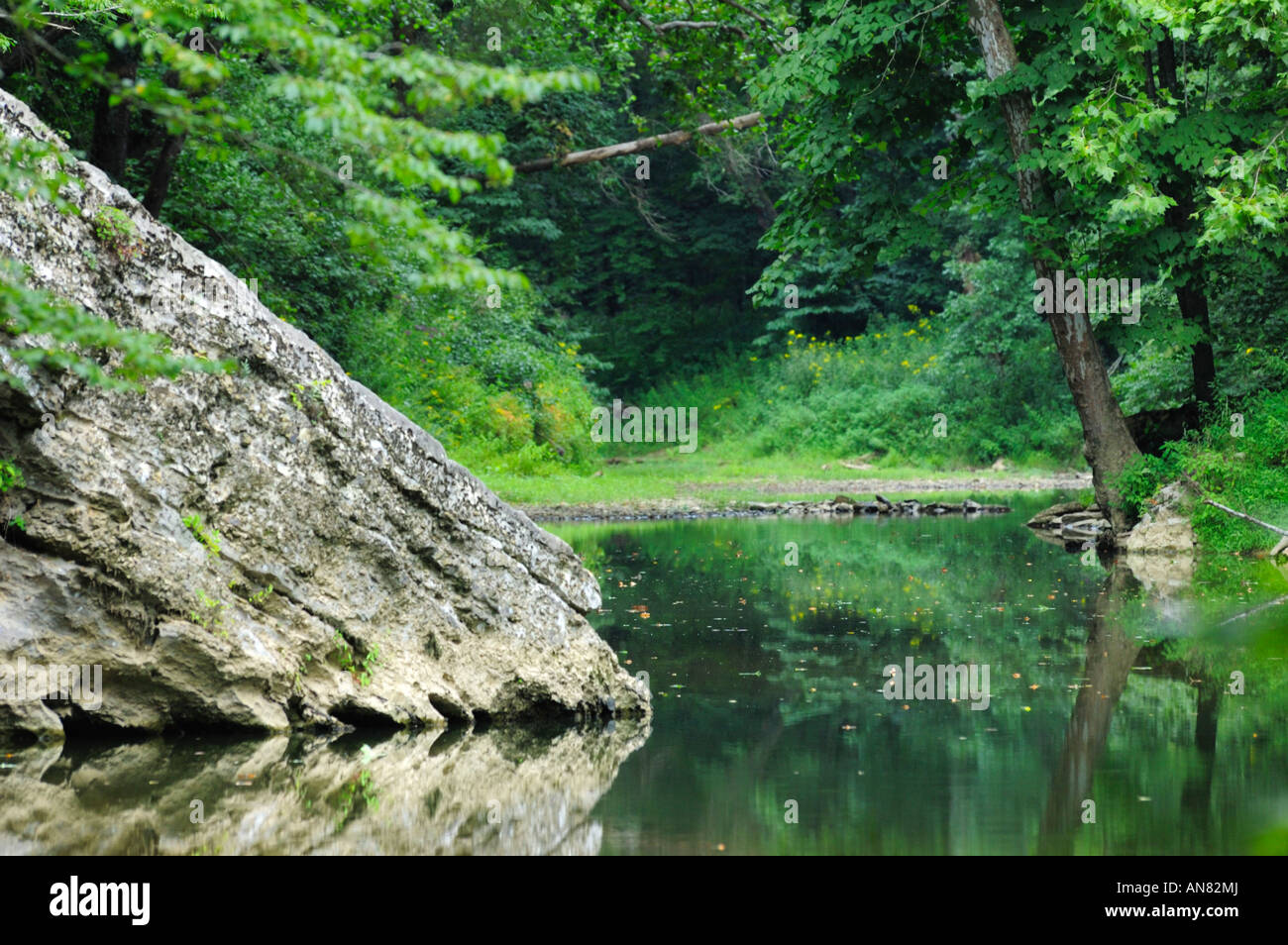 Una tranquilla piscina sul Fiume Rosso nel deserto Clifty area della Red River Gorge Area geologica del Kentucky Foto Stock