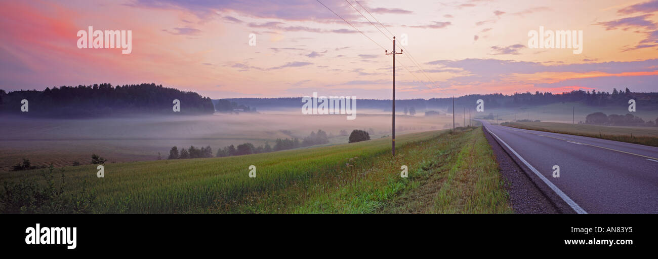 Country Road e linee telefoniche frazionamento terreni coltivati all'alba in Finlandia Foto Stock