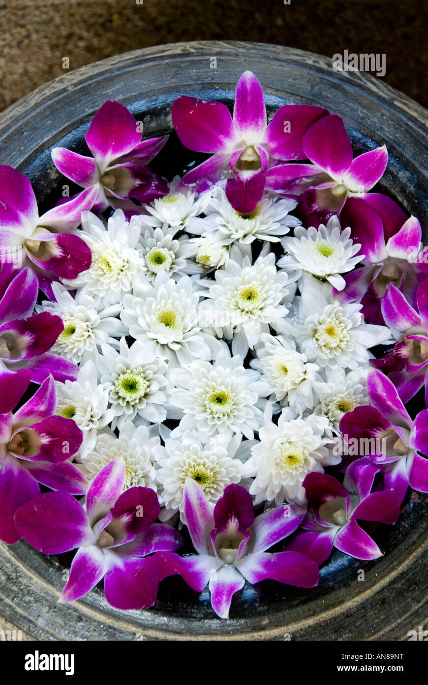 Lotus orchidee e fiori in un vaso di porcellana Foto Stock