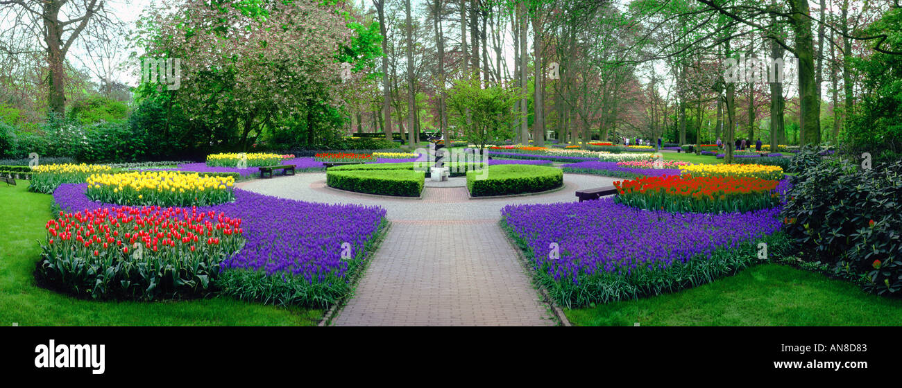 Keukenhof Giardini Tulip Lisse Olanda Foto Stock