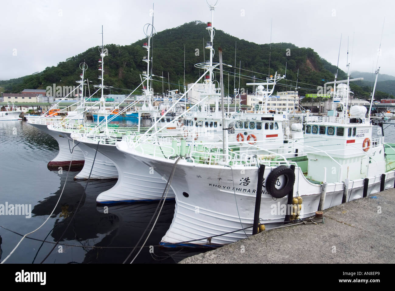 Barche da pesca nel porto di Rausu accanto a Shiretoko Parco Nazionale di Hokkaido in Giappone Foto Stock