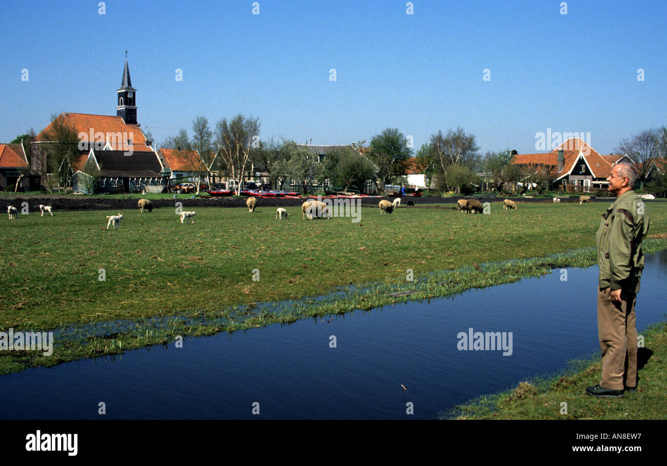 Driehuizen Paesi Bassi Olanda storica fattoria Foto Stock