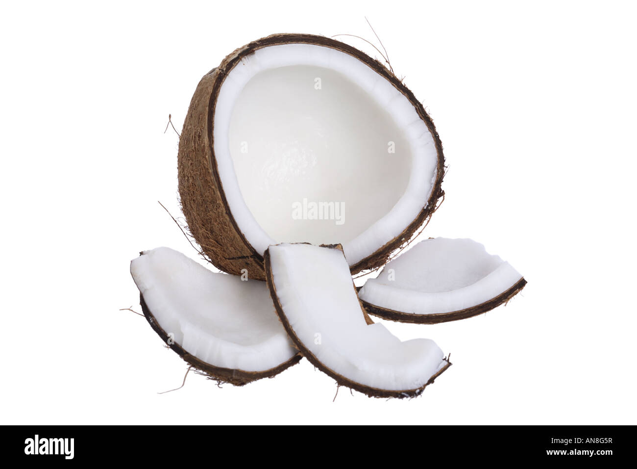 Cocco fresco tagliato fuori su sfondo bianco Foto Stock