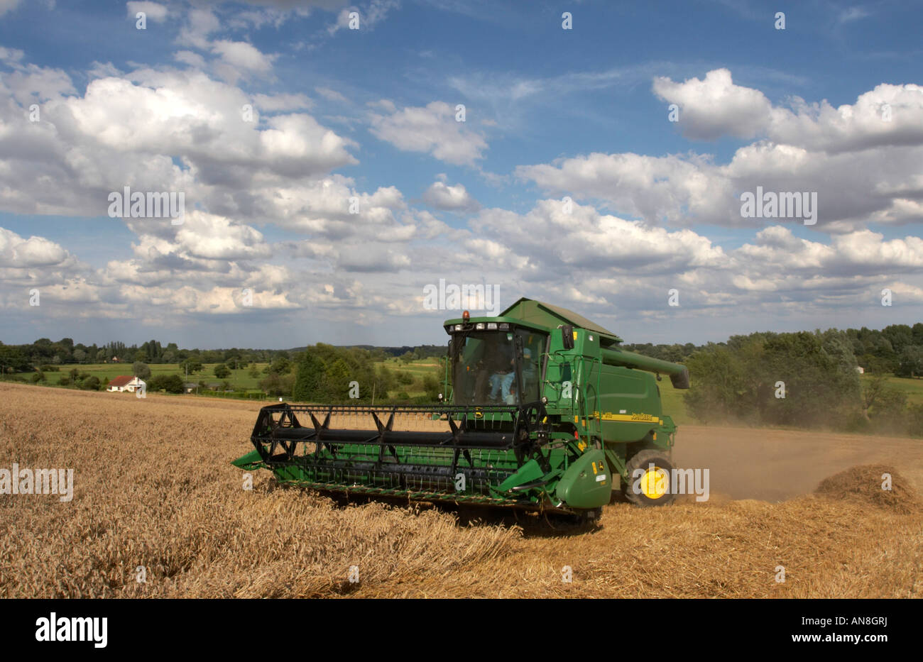 Mietitrebbia John Deere lavorano in Norfolk campo di grano Foto Stock