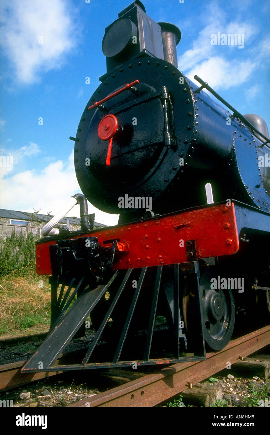Un rhodesiano locomotore ferroviario sulla East Somerset Railway a Cranmore Foto Stock