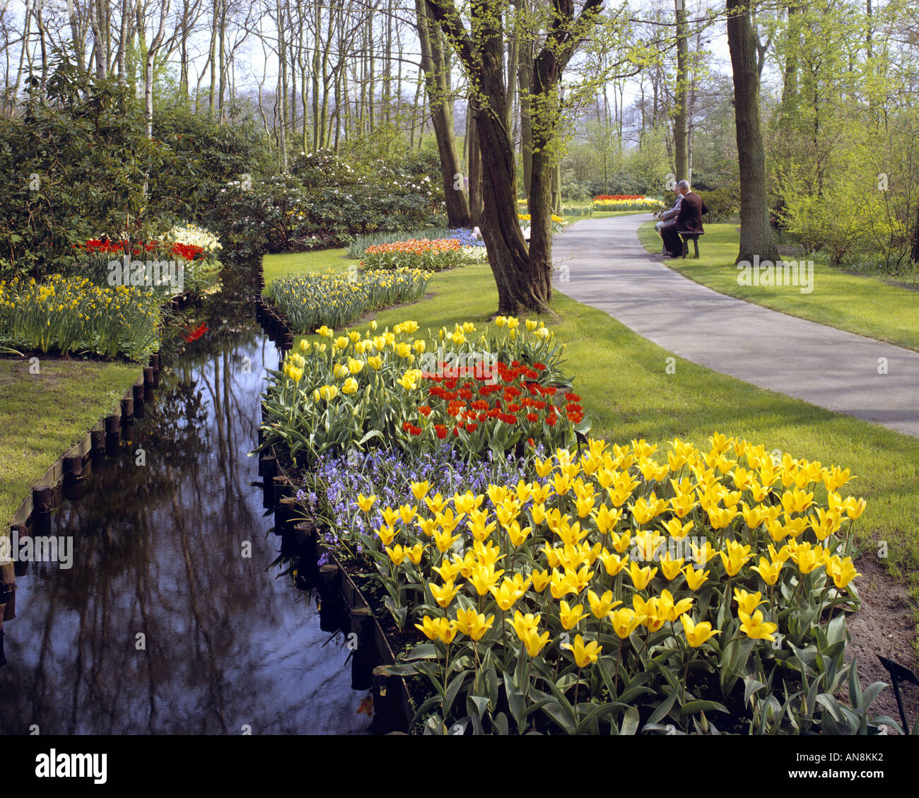 NL - South Holland: Giardini Keukenhof Foto Stock