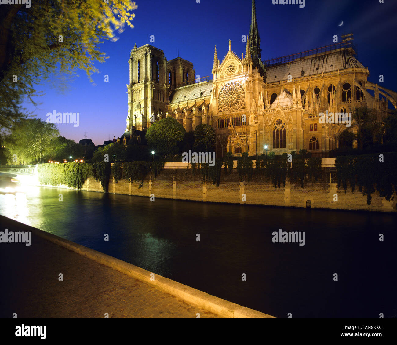 FR - PARIGI: la Senna e la Cattedrale di Notre Dame di notte Foto Stock