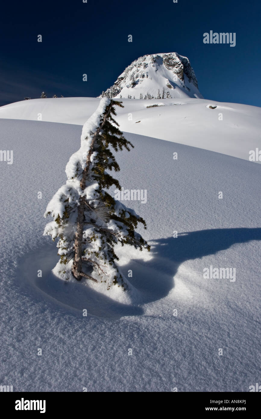 Mt. Baker deserto in inverno Foto Stock