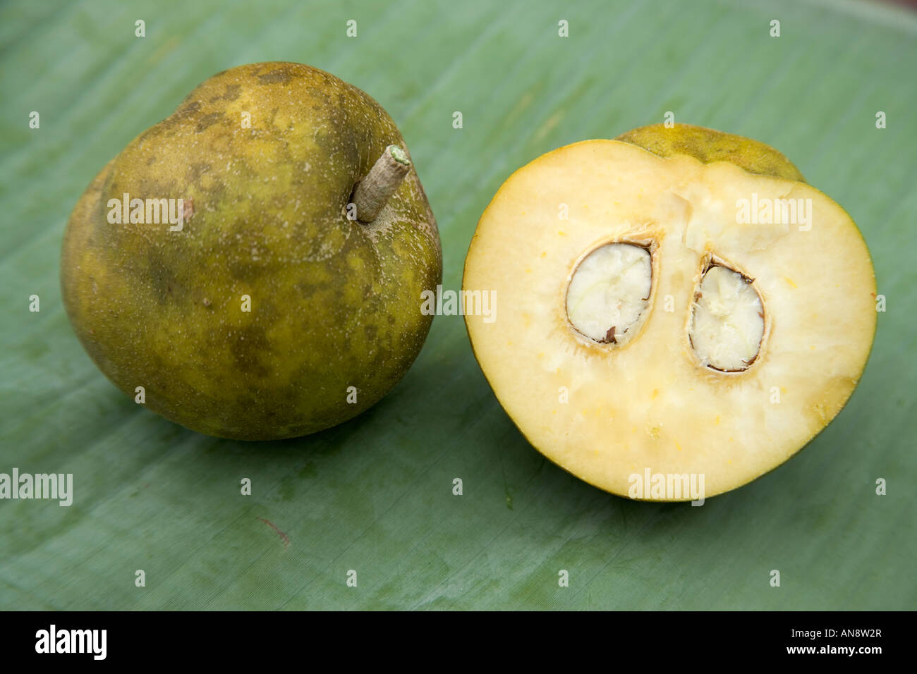 White Sapote frutto intero e dimezzato. Foto Stock