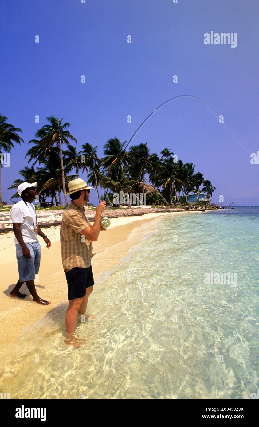 La pesca di osso Ranguana Caye Belize Foto Stock