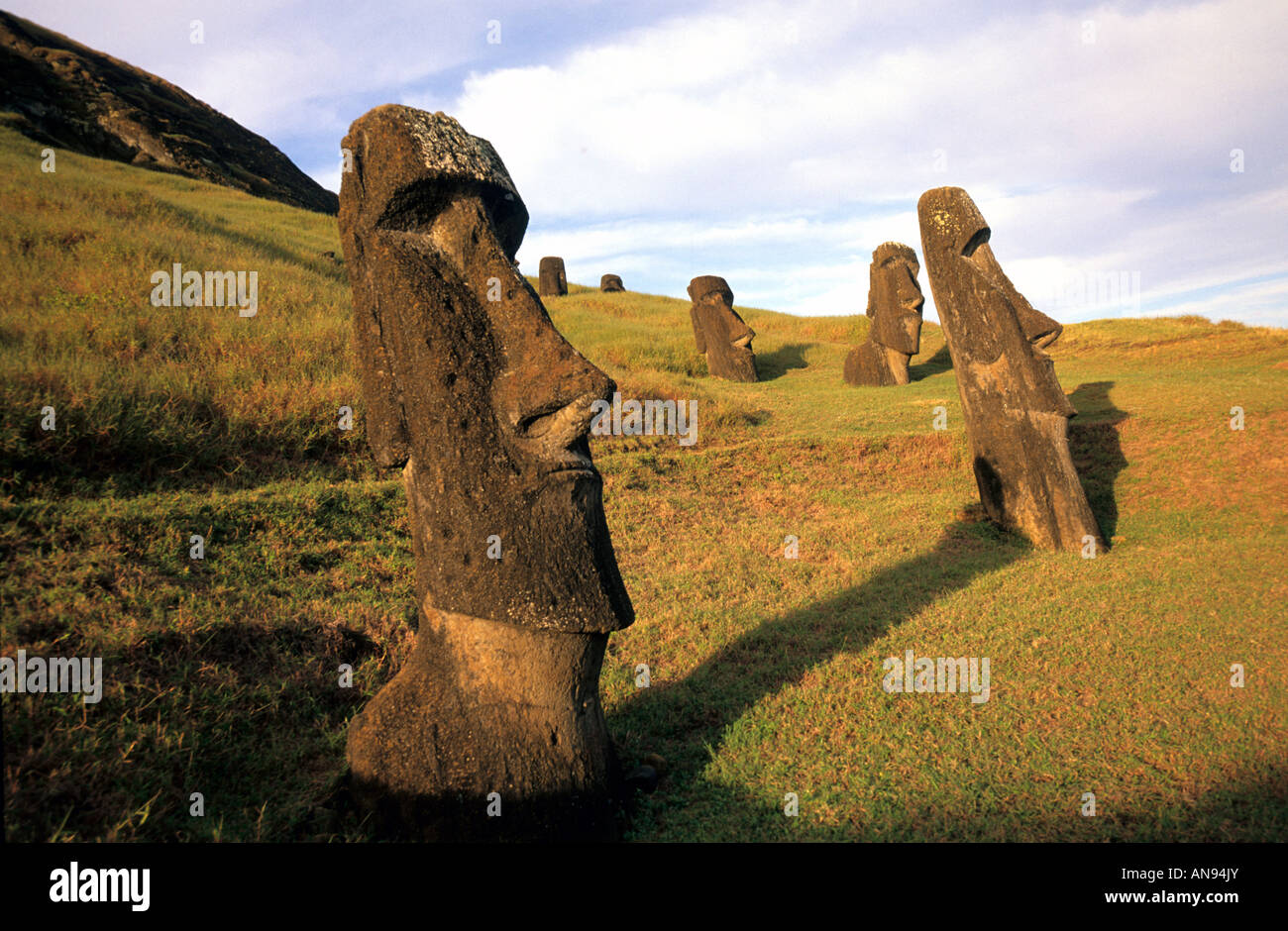 Isola di Pasqua Cile moai Foto Stock