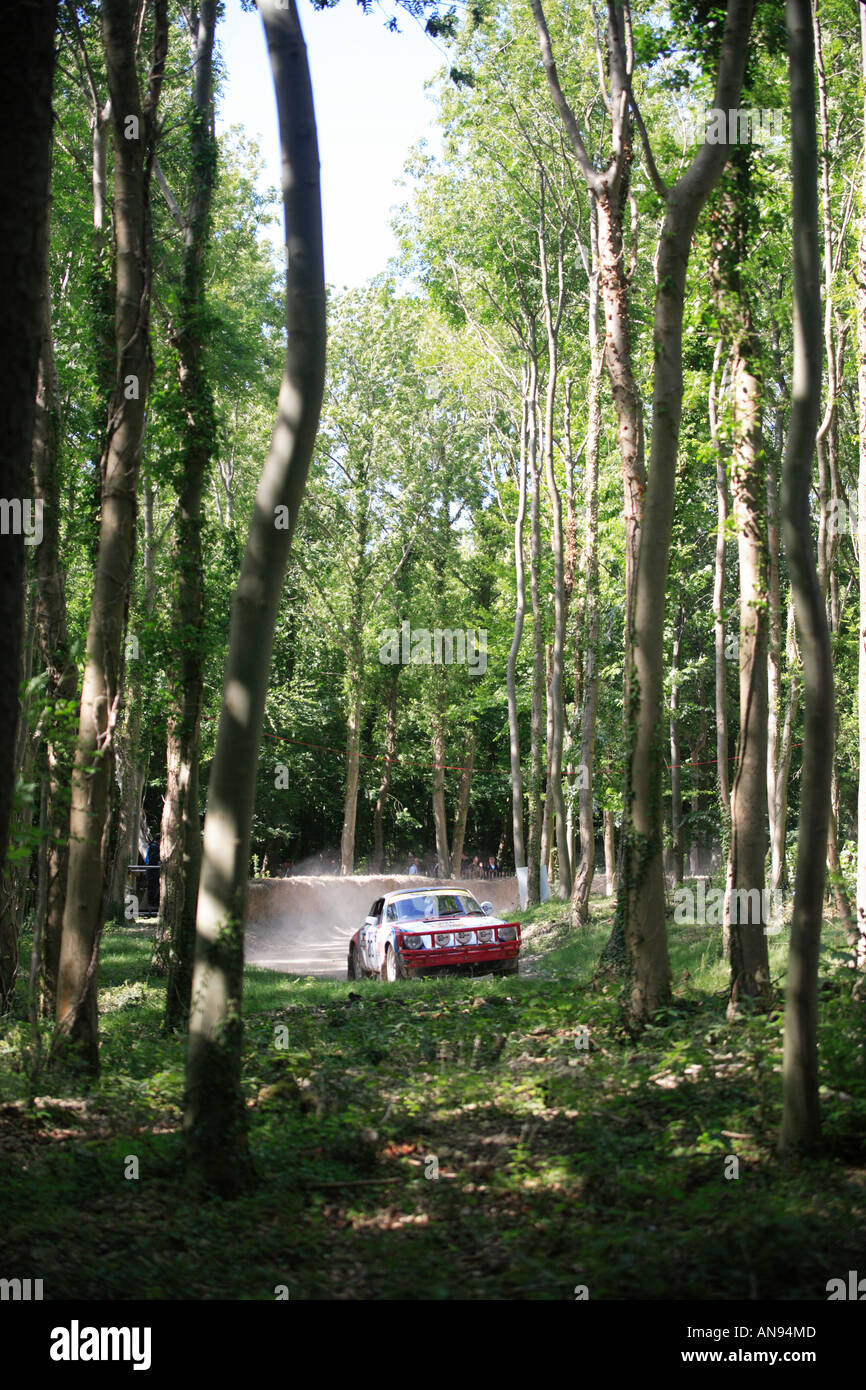 Goodwood FOS 2006 motor racing auto classic legend historic car gara festival di velocità Porsche 911 Carrera 1977 3 litro conducente Davi Foto Stock