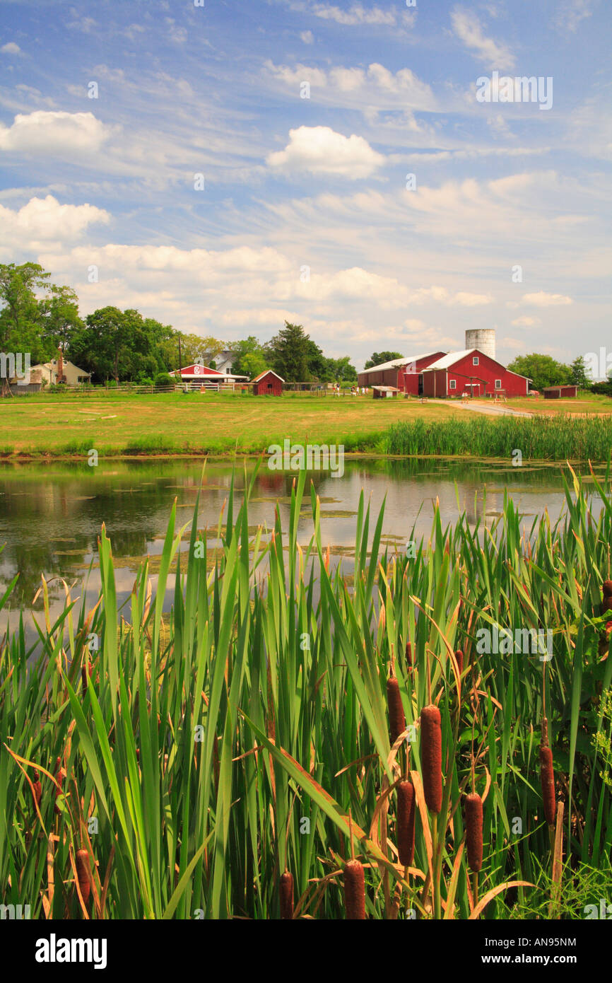 Homestead Farm, Poolesville, Maryland, Stati Uniti d'America Foto Stock