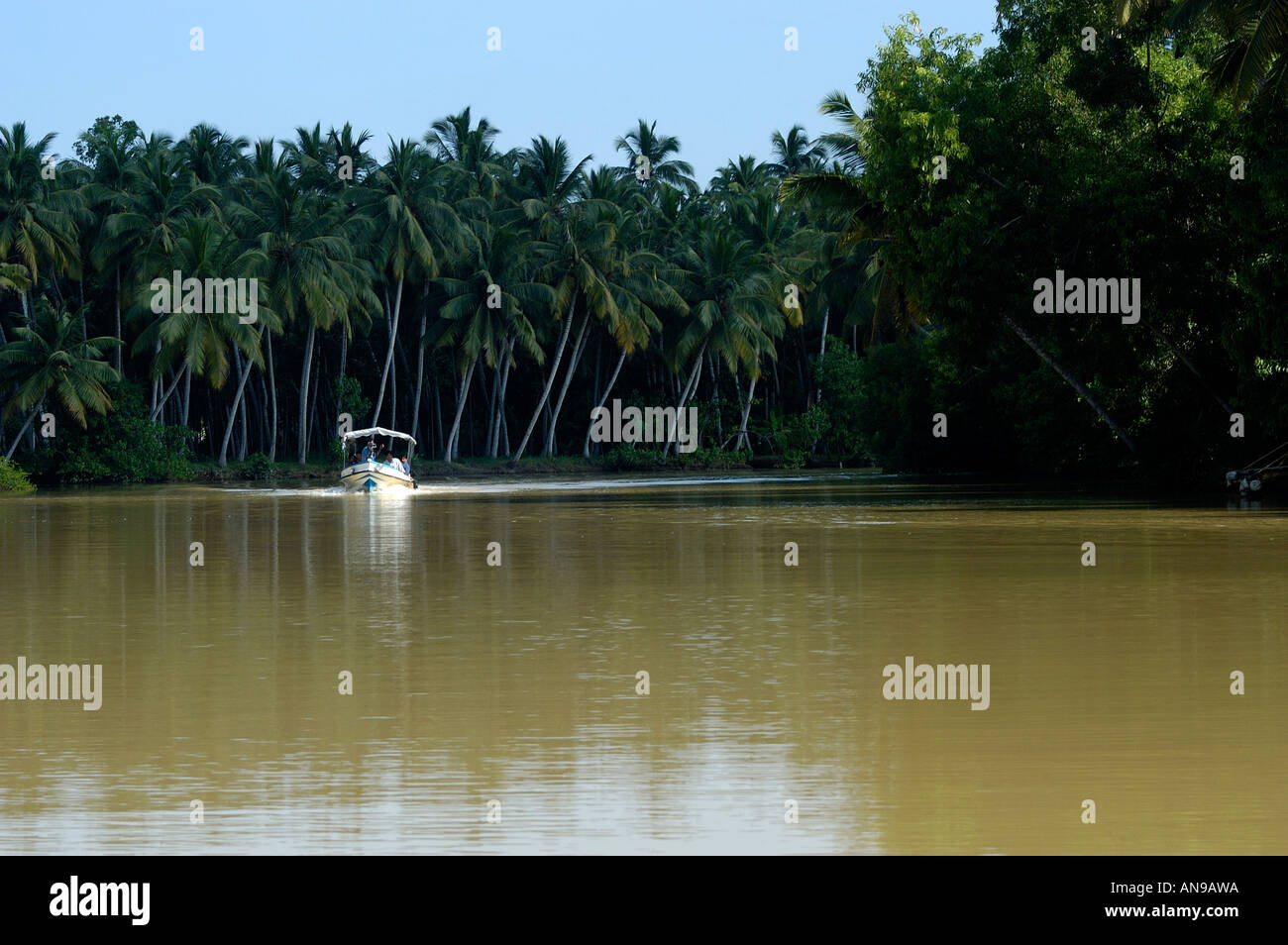 BACKWATERS DI POOVAR, Sud Kerala, TRIVANDRUM DIST Foto Stock