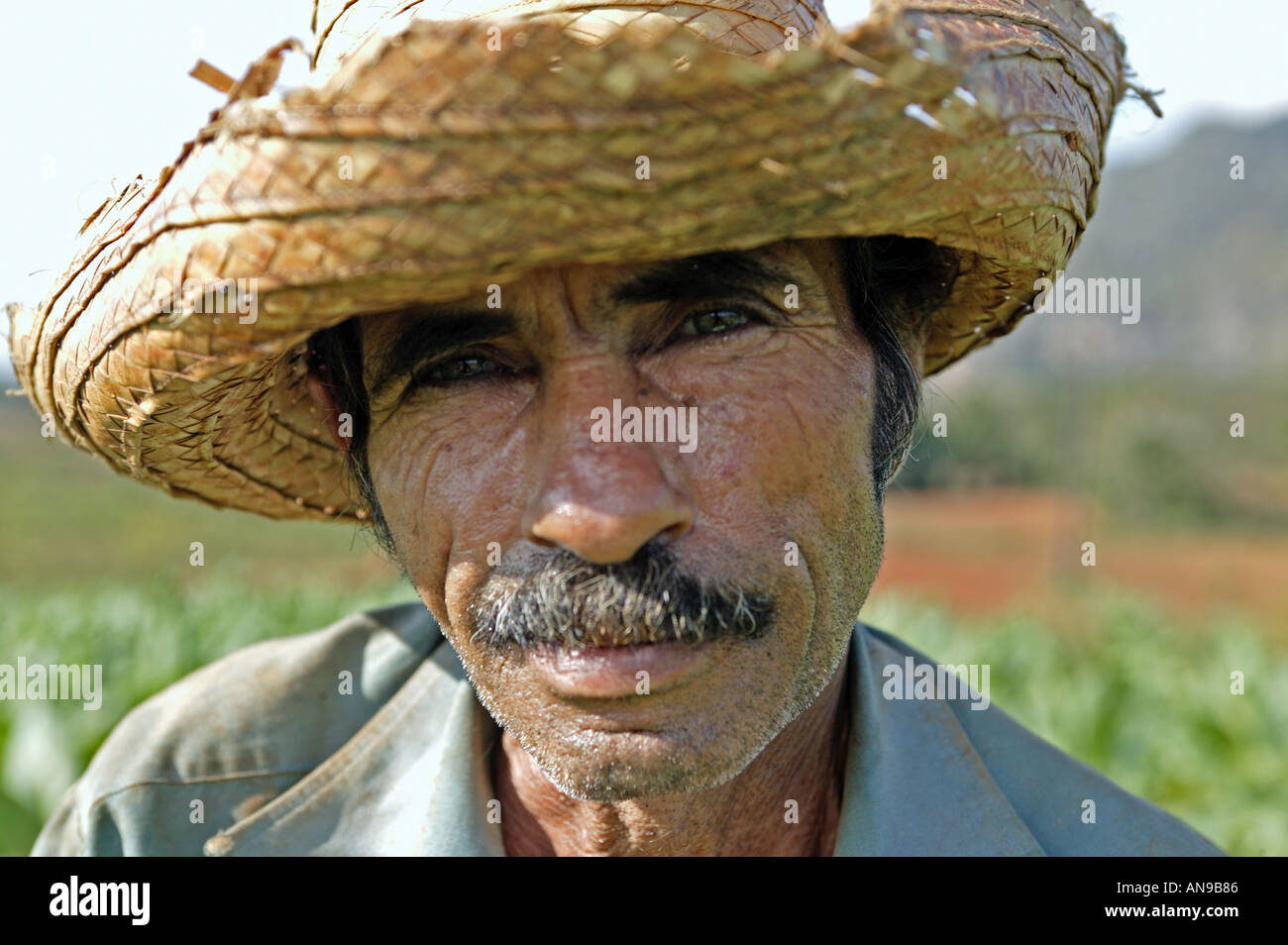 Un agricoltore del tabacco in Vinales Valley, Pinar del Rio provincia, Cuba, West Indies, dei Caraibi Foto Stock