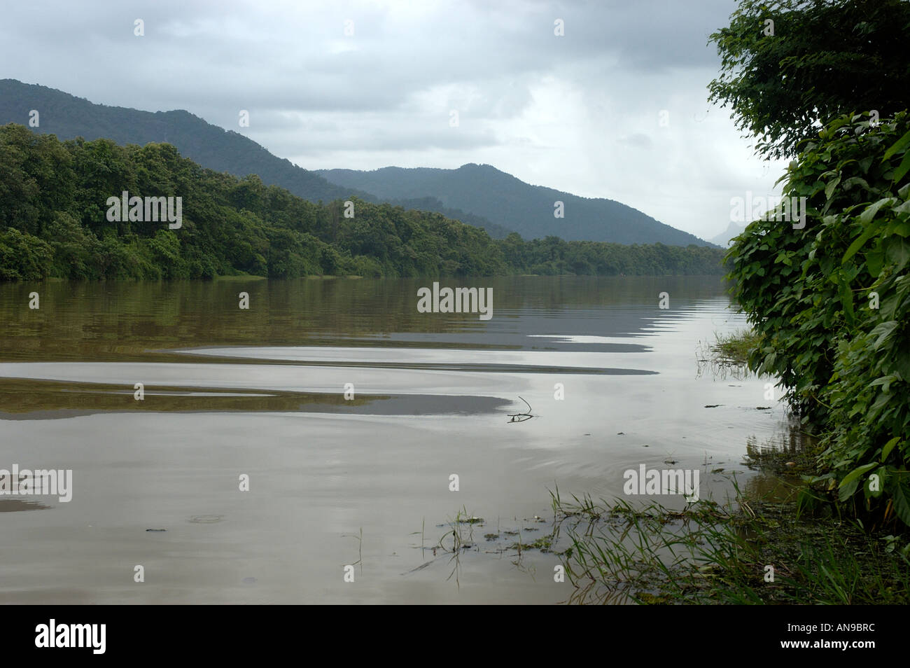 Il fiume del PERIYAR, THATTEKAD Bird Sanctuary, ERNAKULAM dist. Foto Stock