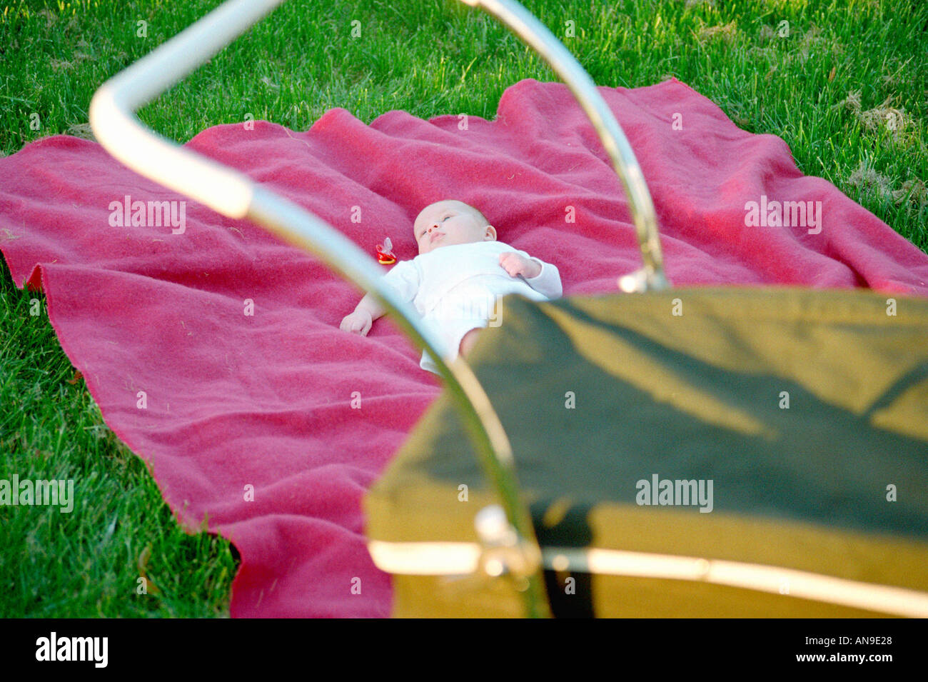 Baby di refrigerazione sul tiro rosa Foto Stock