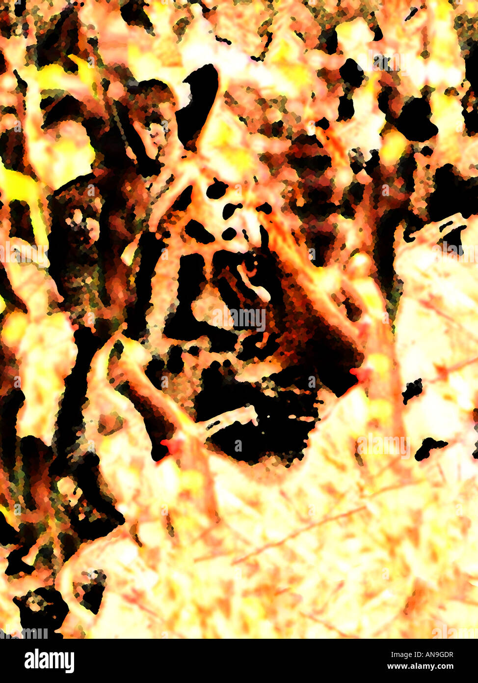 Caccia Tiger Arte Immagine adatta per il turismo ambientale e attività sportive o logo o come arte drammatica Foto Stock