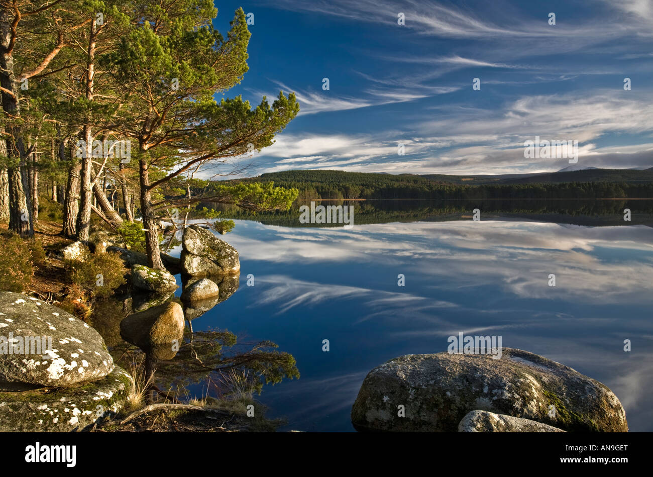 Loch Garten, Cairngorms Foto Stock