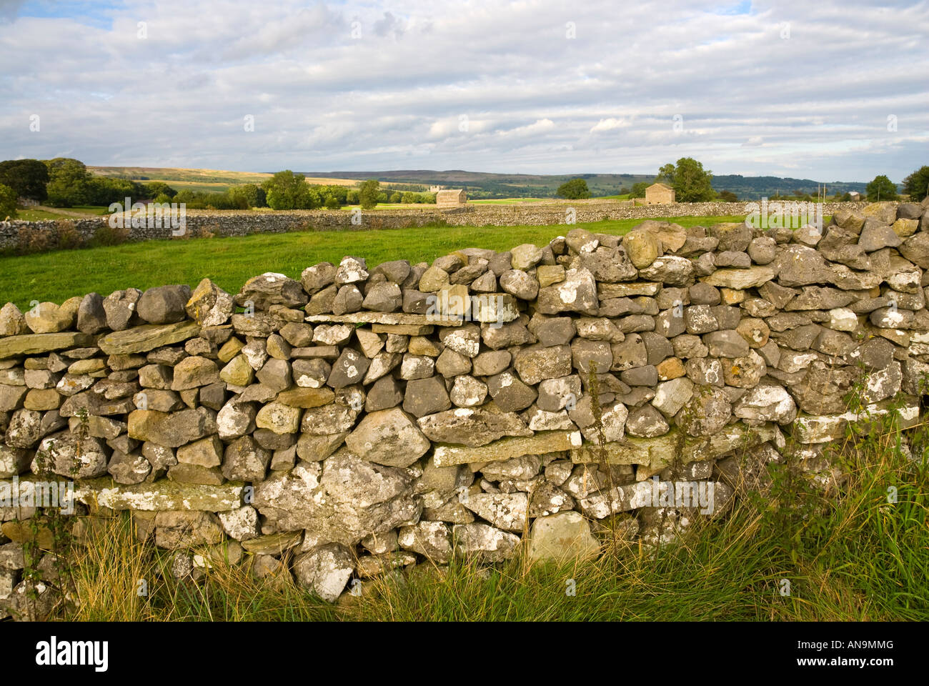 Asciugare la parete in pietra Wensleydale Yorkshire Dales National Park in Inghilterra Foto Stock