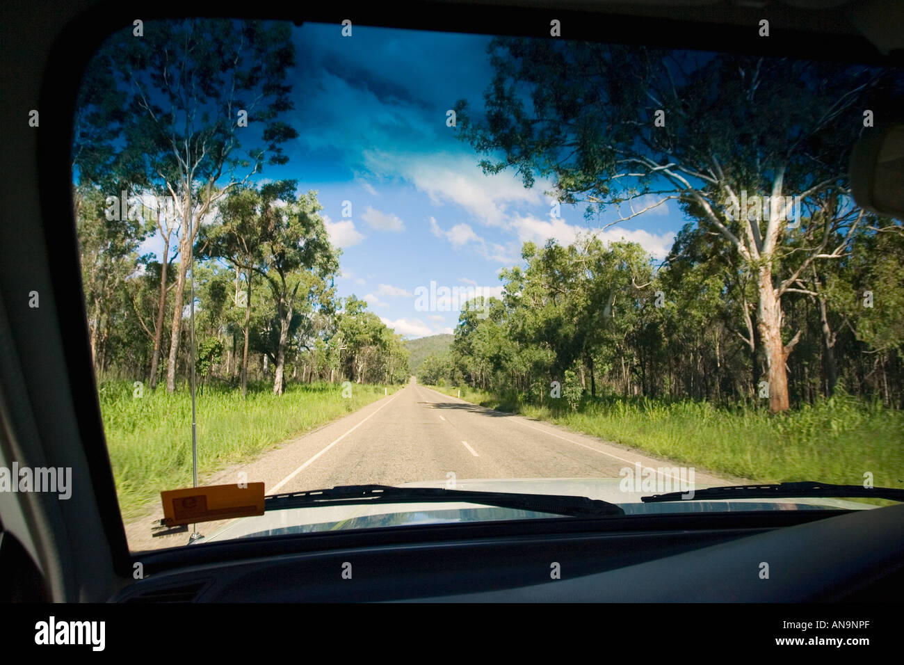 Vista dalla vettura di strada attraverso la foresta pluviale di Daintree Queensland Australia Foto Stock