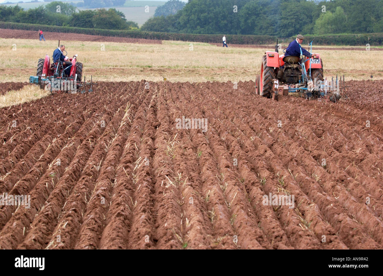 L'aratura annuale corrispondono a Pandy vicino a Abergavenny Monmouthshire South East Wales UK Foto Stock