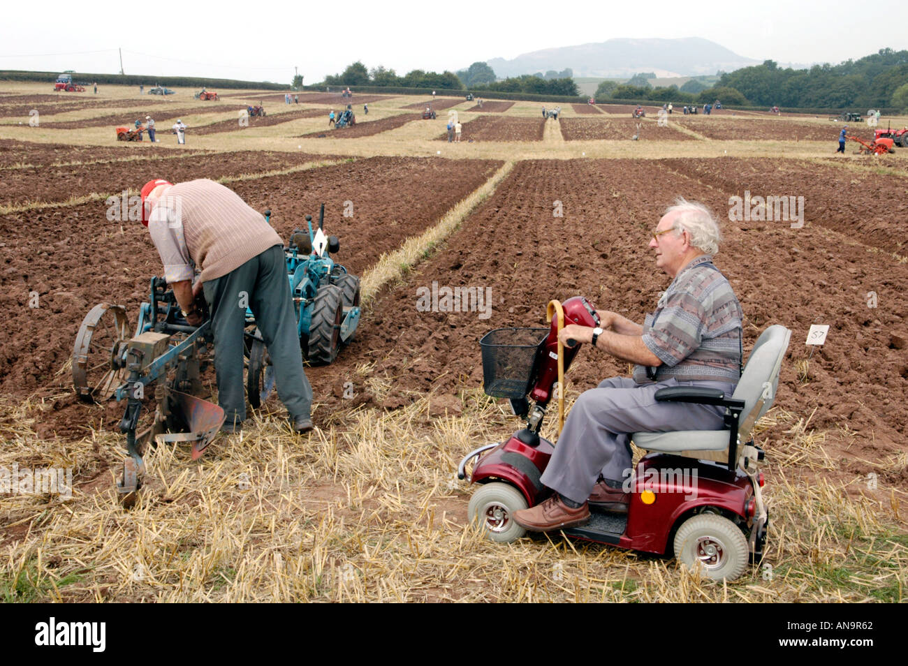 L'aratura annuale corrispondono a Pandy vicino al mercato cittadino di Abergavenny Monmouthshire Wales UK Foto Stock