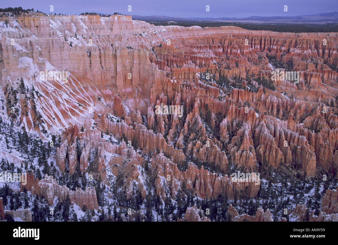 Bryce anfiteatro da Bryce punto prima dell'alba, inverno, Parco Nazionale di Bryce Canyon, Utah, Stati Uniti d'America Foto Stock