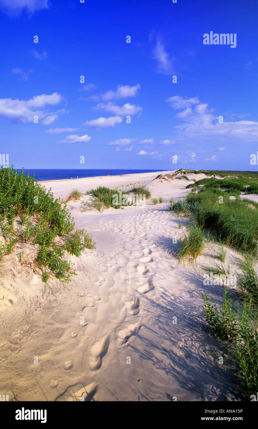 Orme orme nella sabbia sulla spiaggia di Pea Island Outer Banks North Carolina USA Foto Stock
