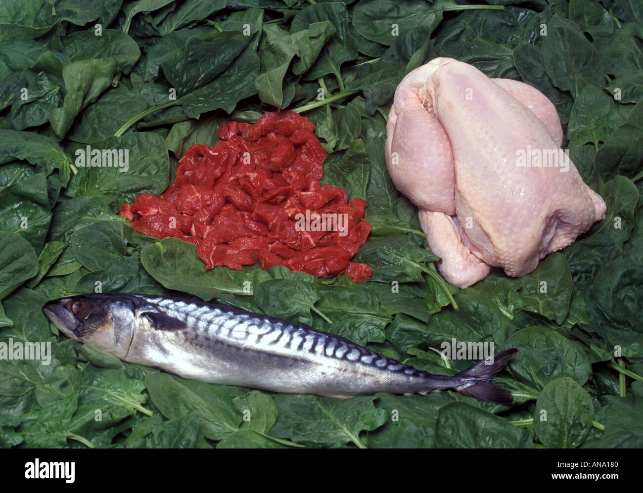 Pesce e carne di pollo su un letto di spinaci Foto Stock