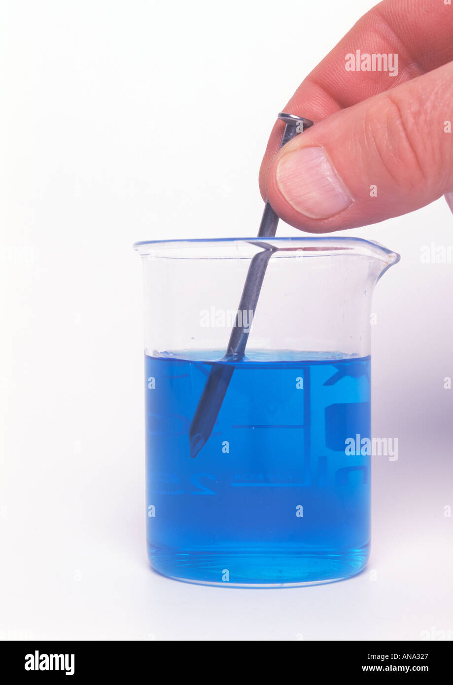 Un chiodo di ferro essendo posto in un beaker di soluzione di solfato di rame per piastra di rame ferro che sposta il rame dalla soluzione Foto Stock