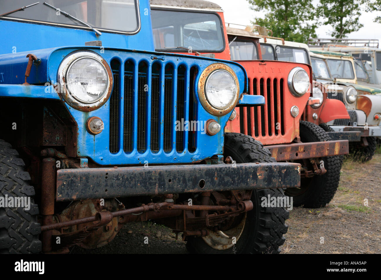 Willy veicoli fuoristrada Islanda Foto Stock