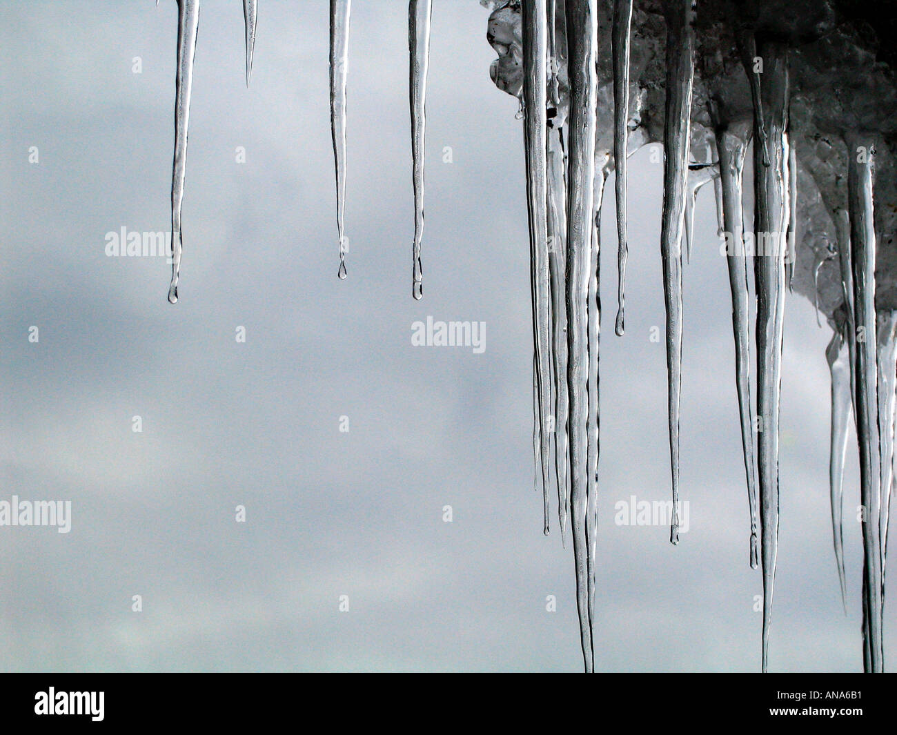 Ghiaccioli Foto Stock