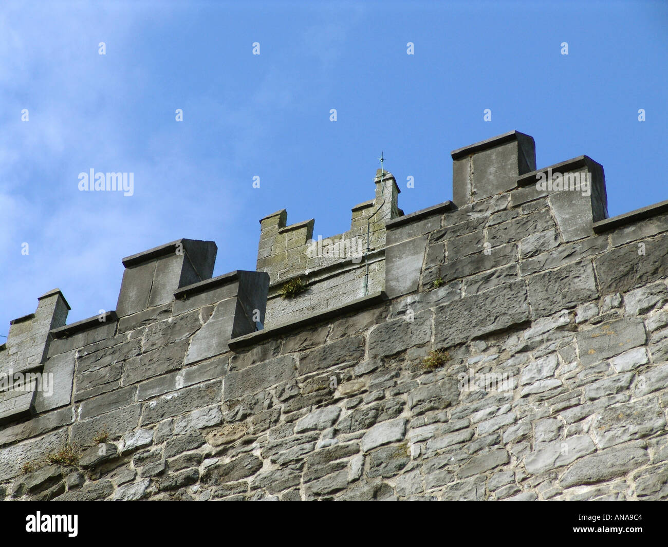 St Marys Cattedrale contea di Limerick Irlanda UE 2004 Foto Stock
