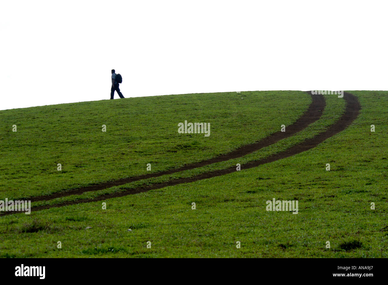 Aprire praterie di VAGAMON, IDUKKI DIST Foto Stock