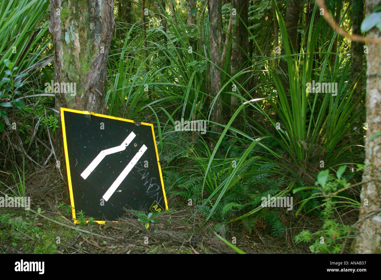 Segno stradina nella foresta Waitakere varia Nuova Zelanda Isola del nord Foto Stock