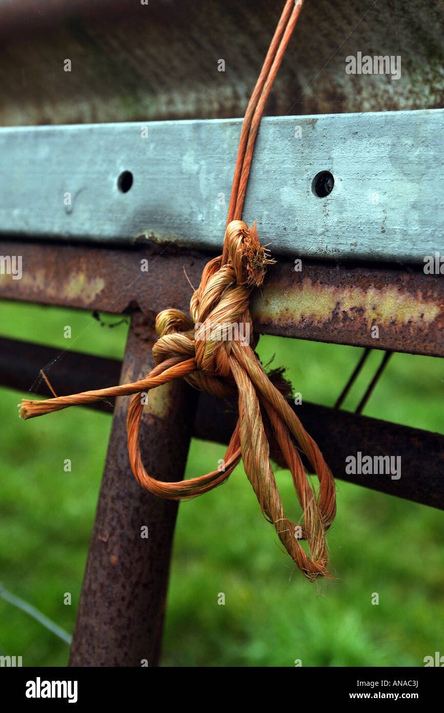 Una palla di spago da cucina Foto stock - Alamy