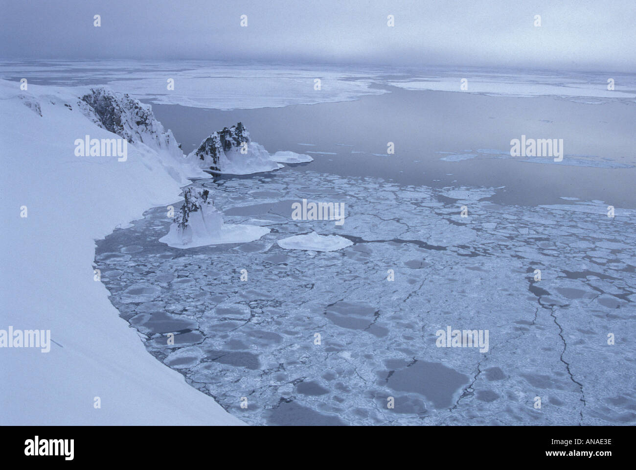 Packice sulla riva del San Lorenzo Isola del Mare di Bering Alaska Foto Stock