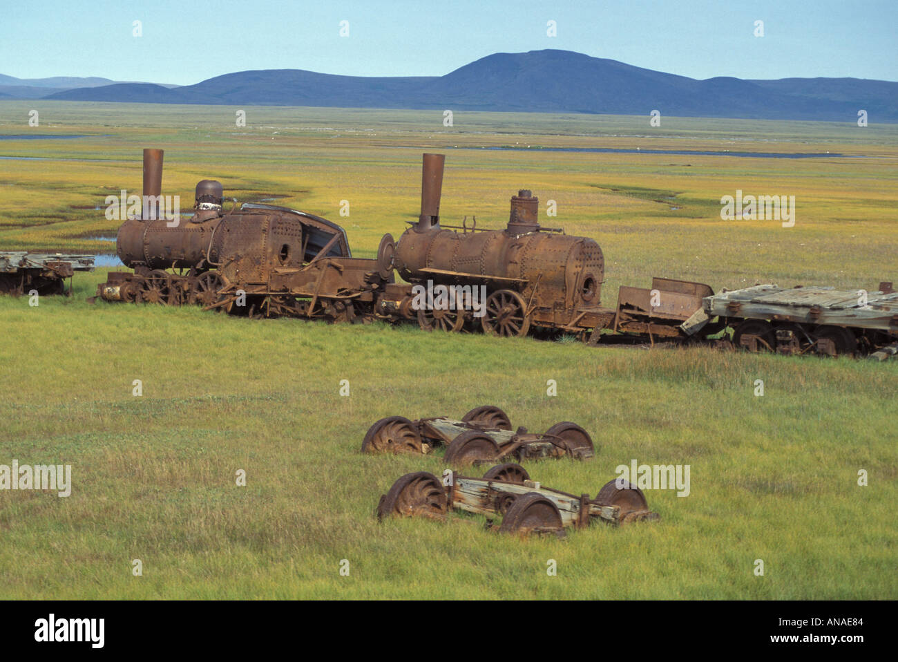 Last train to Nowhere vecchio treno nella palude rosting lontano a Salomone Goldrushtime Seward Peninsula vicino a Nome Alaska Foto Stock