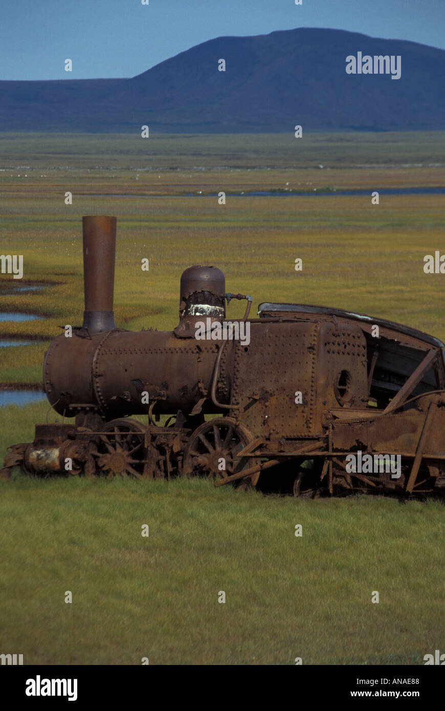 Arrugginimento steamlokomotive dell ultimo treno per nulla nella palude a Salomone Golrush tempo vicino a Nome Seward Peninsula W Alaska Foto Stock