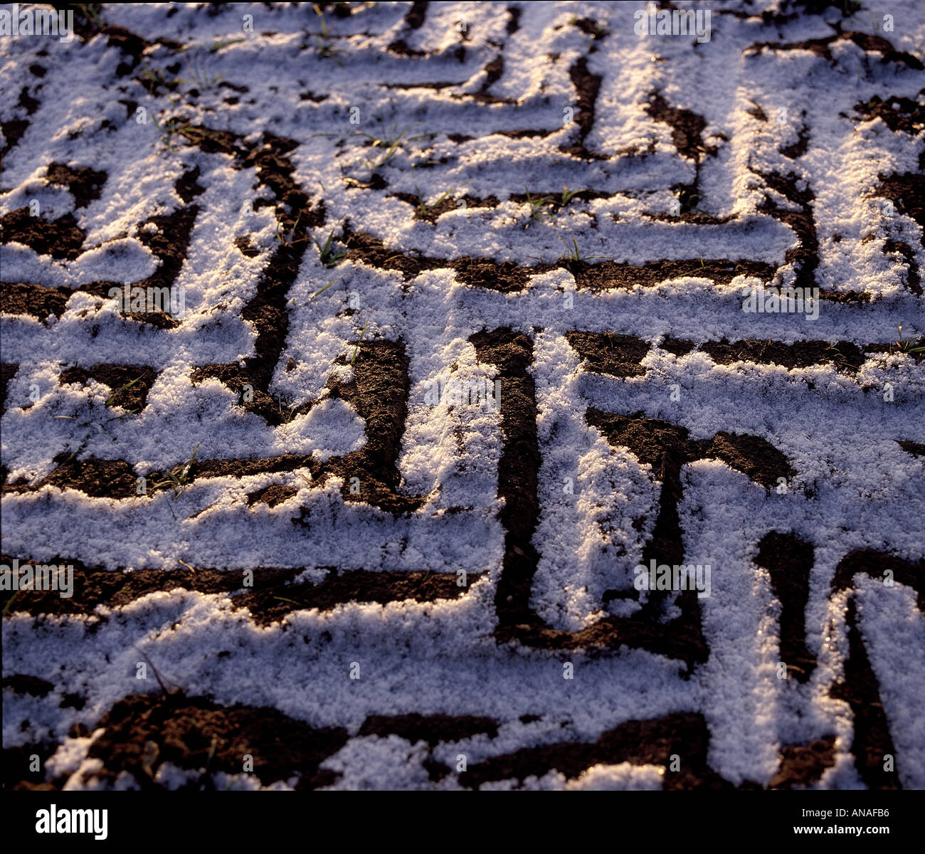 Agricoltura invernale cingoli delle ruote posati in un trattore agricolo a base di erba congelata Foto Stock