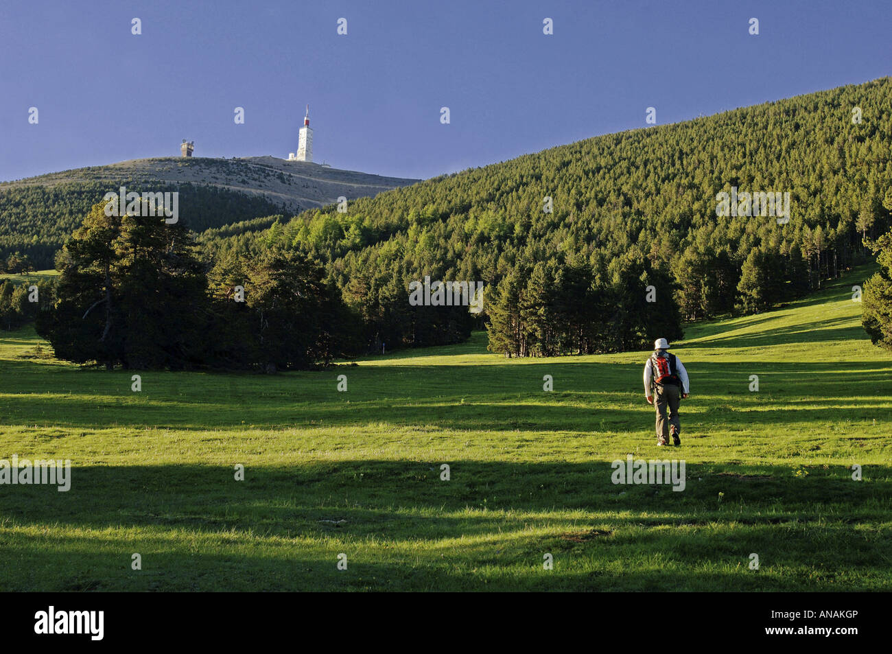 Trek vicino a Mont Ventoux, higest montagna di Provenza, Francia Provenza Foto Stock